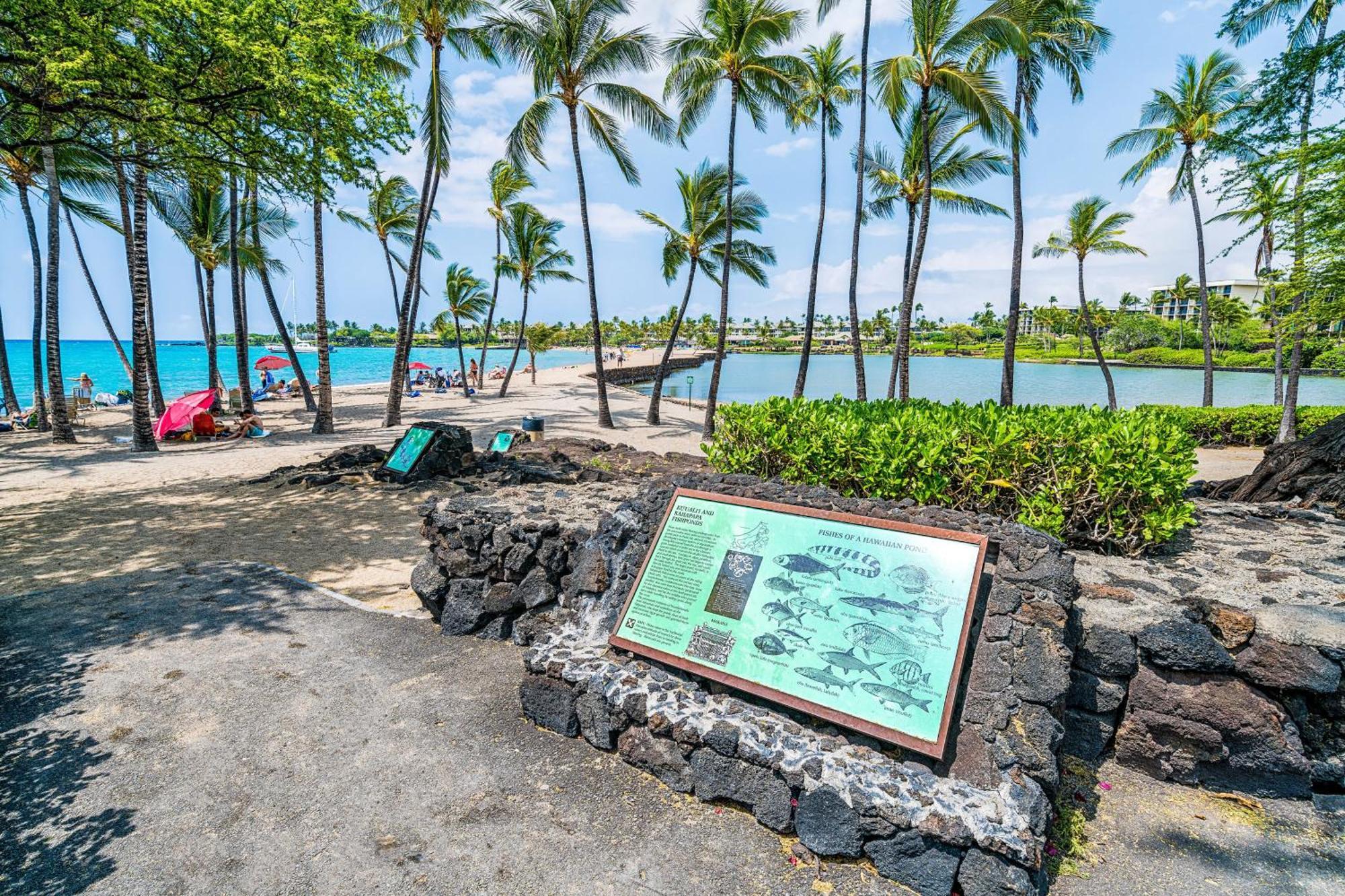 Halii Kai 11D Villa Waikoloa Ngoại thất bức ảnh